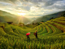 Du Lịch Hà Nội - Mù Căng Chải 2 Ngày 1 đêm