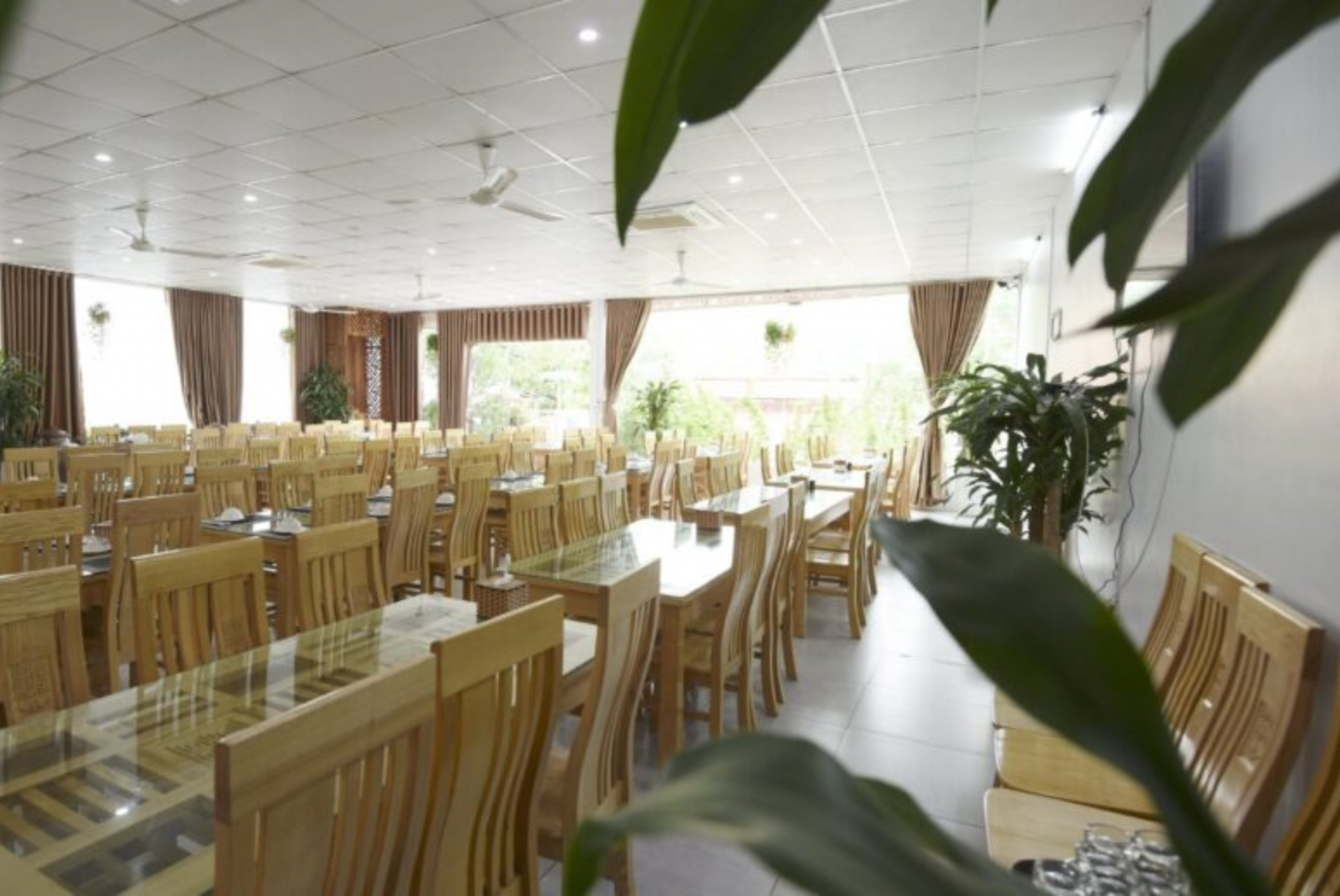 Du Lịch Khám Phá Tam Đảo - Sapa Bên Thềm Hà Nội 2 Ngày 1 Đêm
