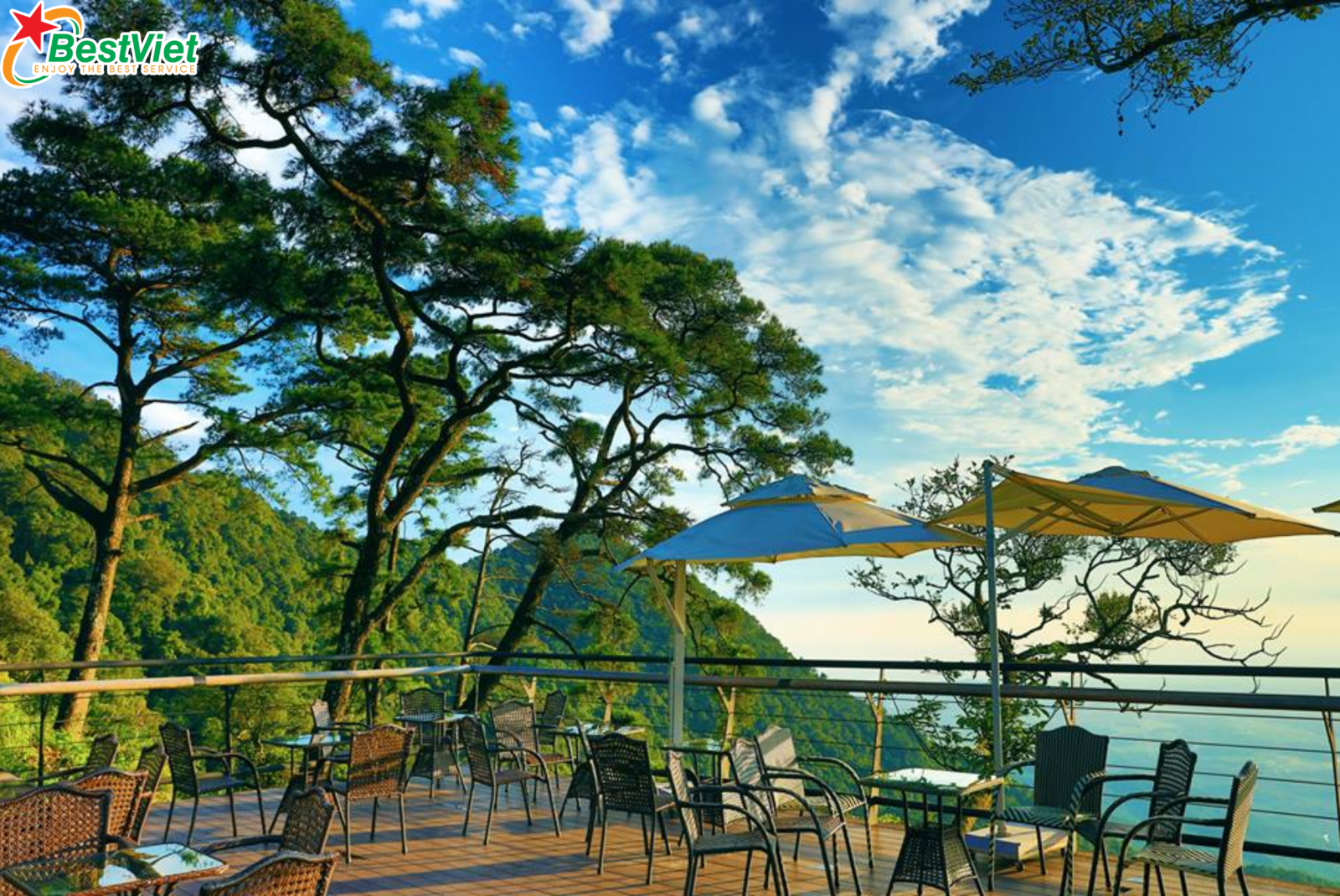 Du Lịch Khám Phá Tam Đảo - Sapa Bên Thềm Hà Nội 2 Ngày 1 Đêm