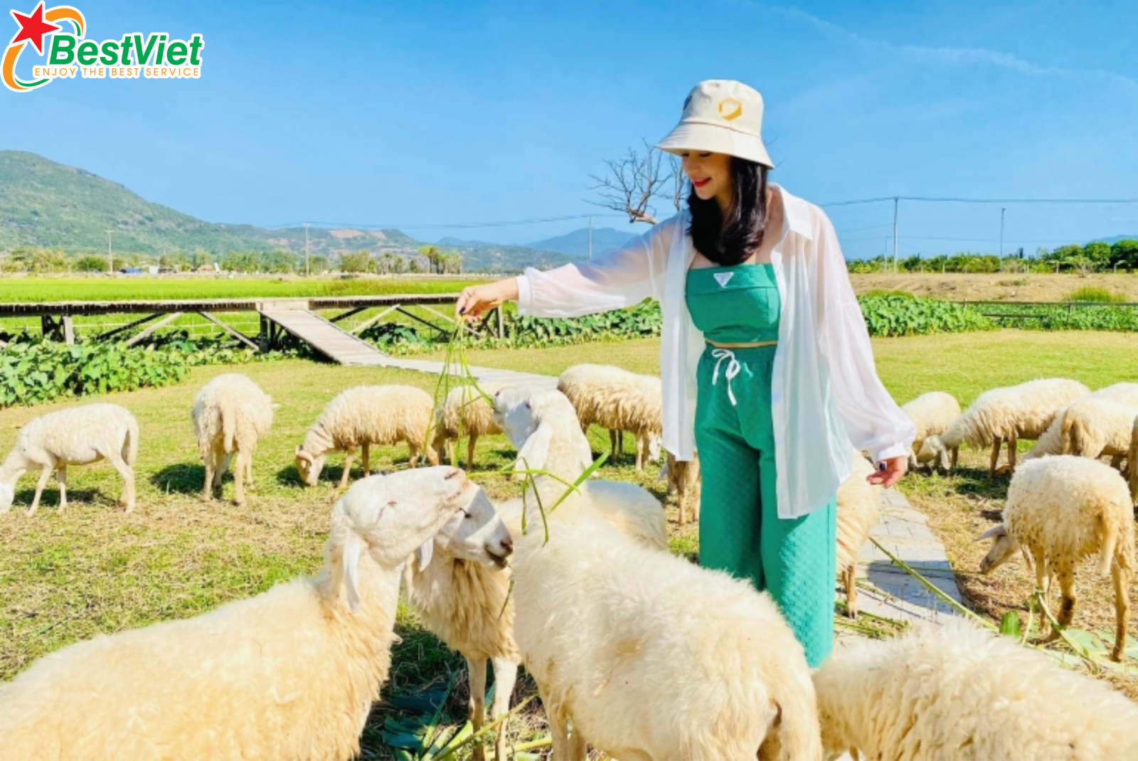 Du Lịch Hà Nội - Ninh Thuận - Nha Trang 4 Ngày 3 Đêm Bay Vietnam Airlines