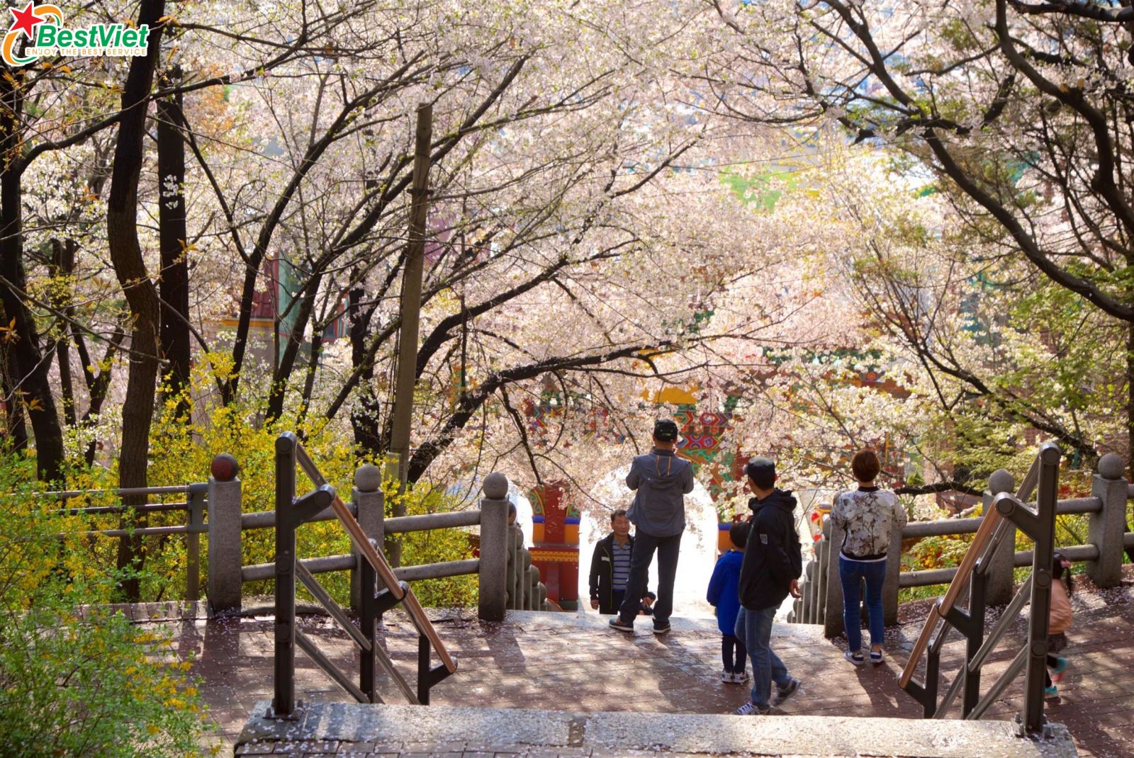 Du Lịch Hà Nội - Seoul-Everland-Folk Village-5 ngày 4 đêm -bay Vienam Alines/Vietjet Airs