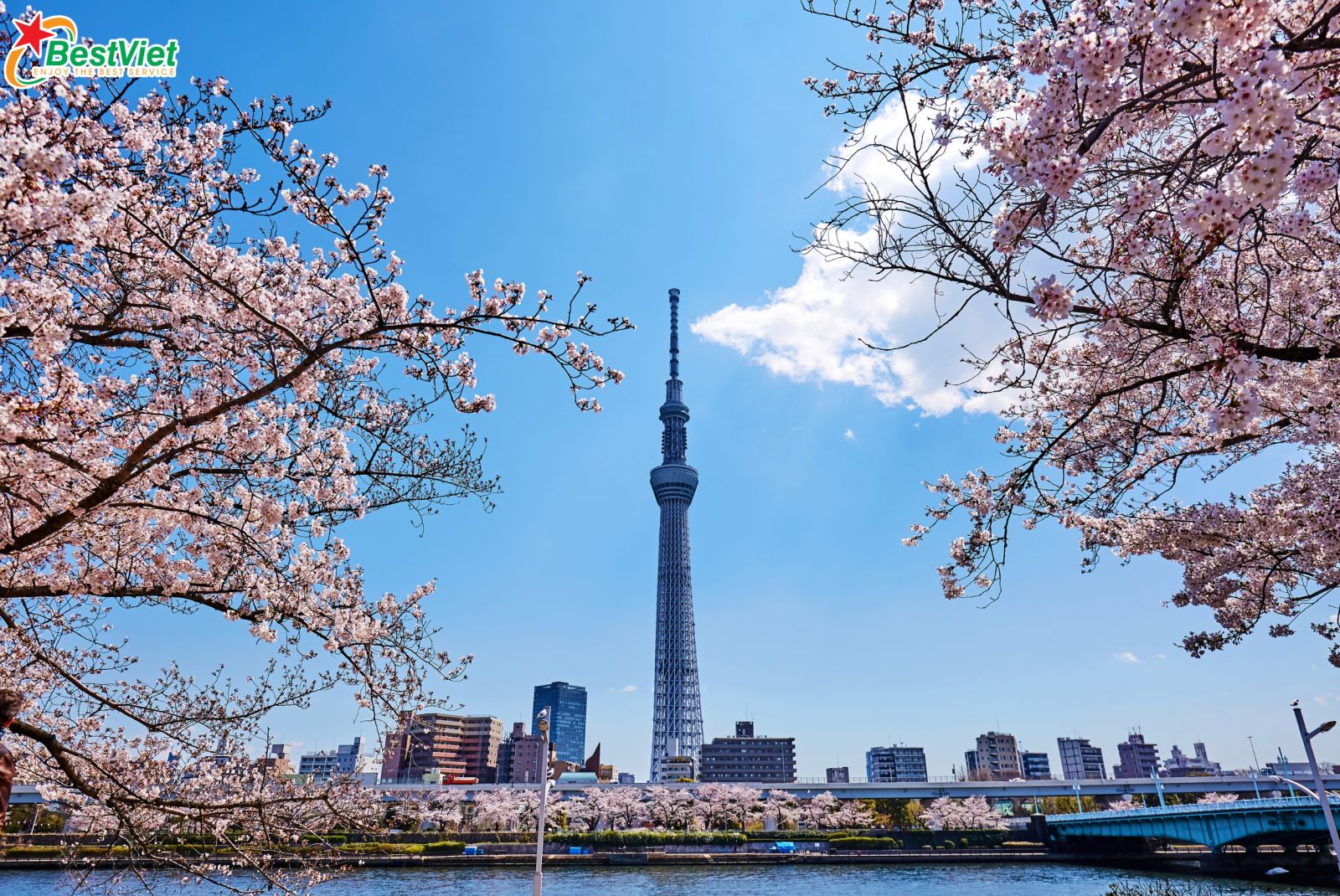 Du Lịch Hà Nội - OSAKA – KYOTO – NAGOYA – PHÚ SĨ  – TOKYO-6 ngày 5 đêm-bay Vietjet Air