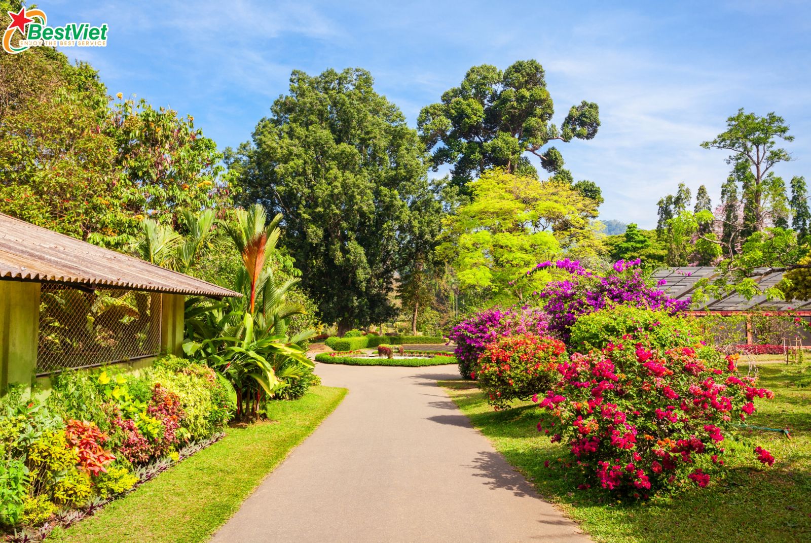 Du Lịch Hà Nội-Úc- 7 ngày 6 đêm bay VietnamAirlines