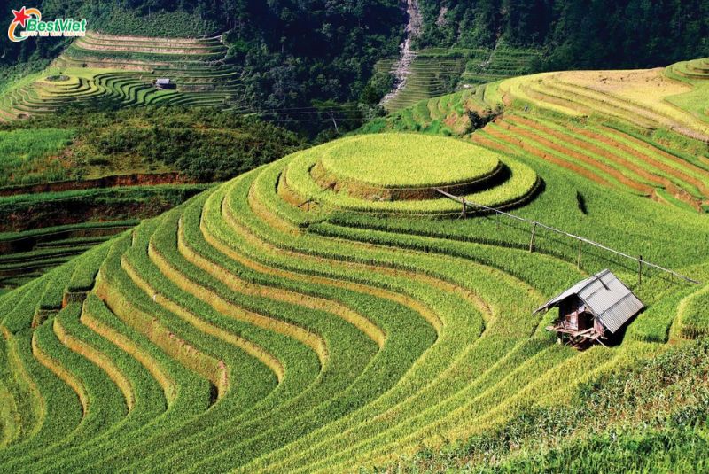 Du Lịch Hà Nội - Mù Căng Chải 2 Ngày 1 đêm