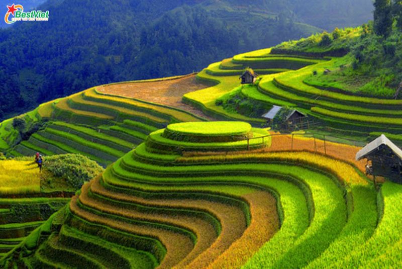 Du Lịch Hà Nội - Mù Căng Chải 2 Ngày 1 đêm