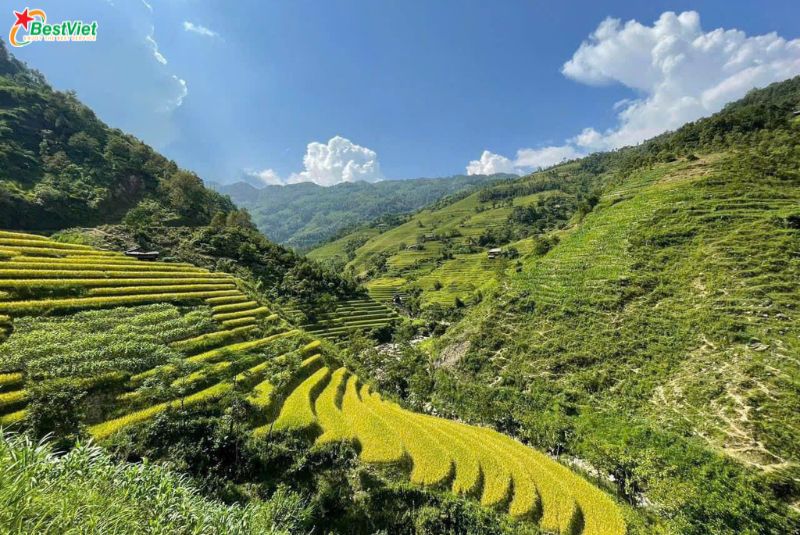 Du Lịch Hà Nội - Mù Căng Chải 2 Ngày 1 đêm